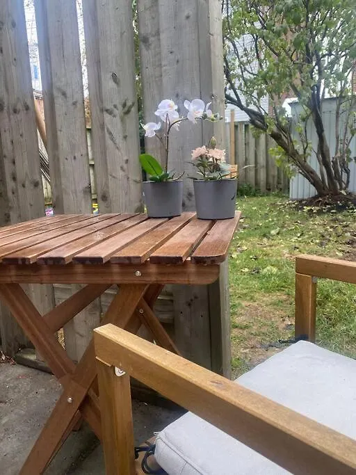 Entire Place In Downtown 2 Bedroom Basement Suite Toronto Daire