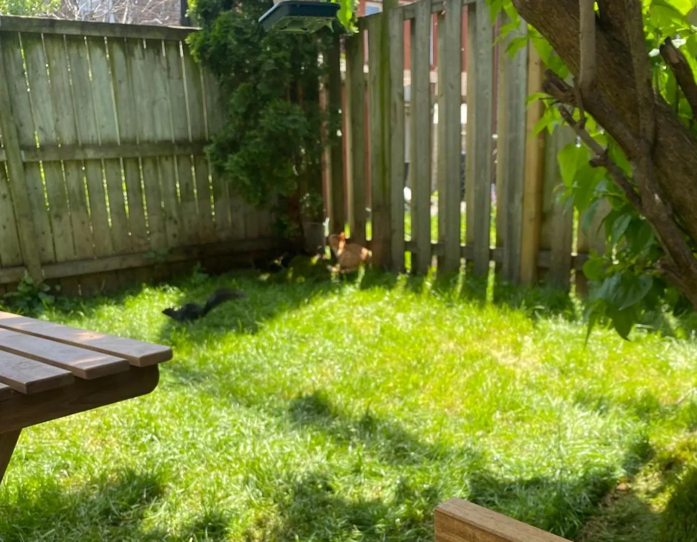Entire Place In Downtown 2 Bedroom Basement Suite Toronto Daire